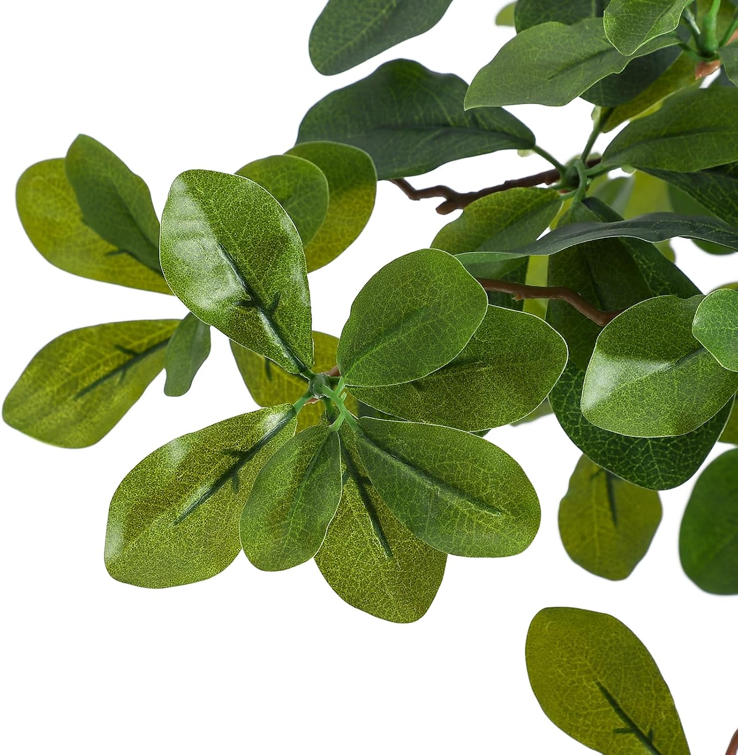Artificial Plants Indoor, 5/6  - Baby Nursery Home ulasan dan harga