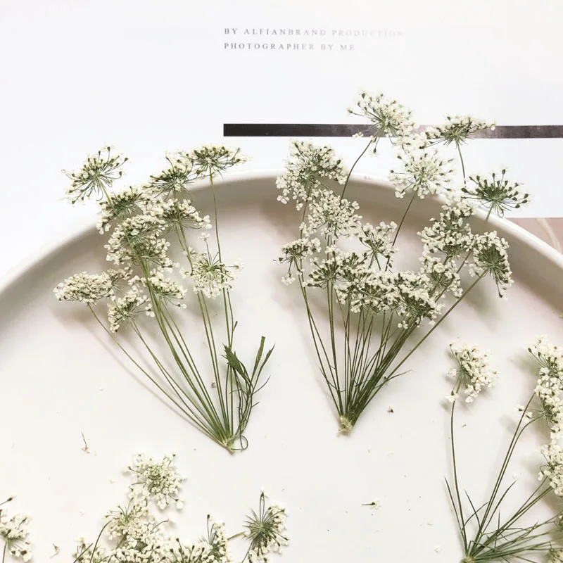 5-7cm/12pcs,Snow Tiny Flowers  - Baby Nursery Mobile ulasan dan harga