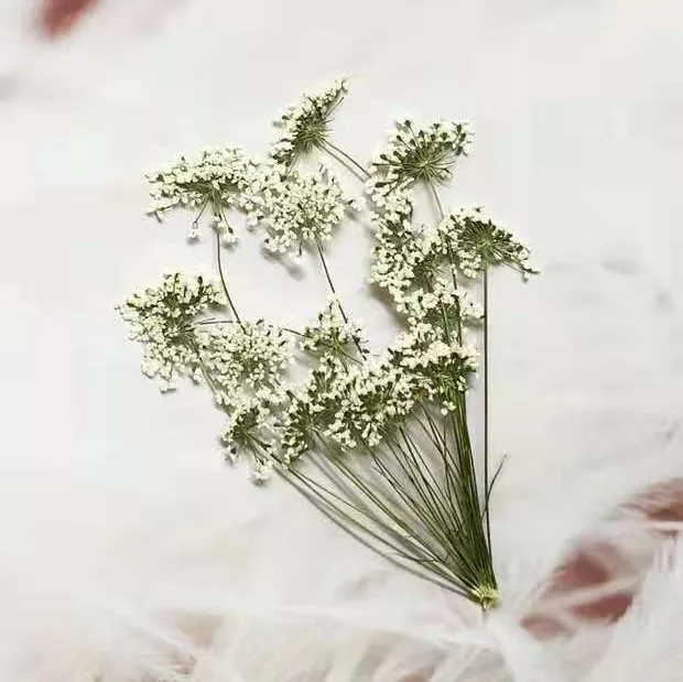 5-7cm/12pcs,Snow Tiny Flowers  - Baby Nursery Mobile ulasan dan harga